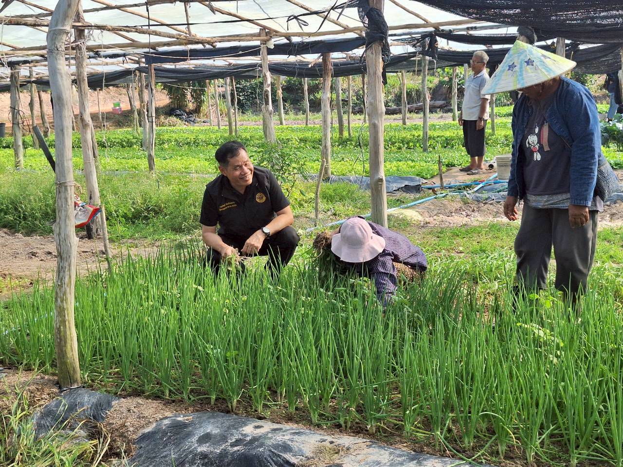 title - ผู้ตรวจราชการ ส.ป.ก. ประชุมตรวจราชการและติดตามความก้าวหน้าผลการดำเนินงานตามแผนการตรวจราชการของผู้ตรวจราชการสำนักงานการปฏิรูปที่ดินเพื่อเกษตรกรรม ประจำปีงบประมาณ พ.ศ. 2569 รอบที่ 1 เขตตรวจราชการที่ 11 จังหวัดนครพนม